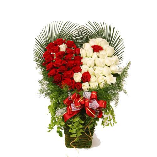 99 red and white roses in basket HV-NH-L-319)