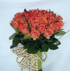 Hoa hồng cam HV-L-345 (ID: HV-L-345) 