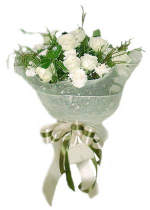 Hoa hồng trắng HV-L-394 (ID: HV-L-394) 