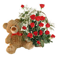 20 hoa hồng và gấu HV-L-341 (ID: HV-L-341) 