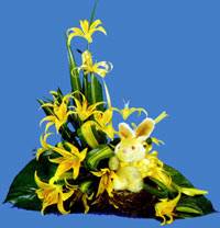 Hoa lily HV-O-466 (ID: HV-O-466) 