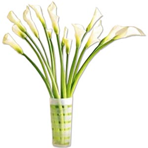 Hoa lily HV-O-401 (ID: HV-O-401) 