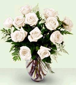 Hoa hồng trắng HV-A-026 (ID: HV-A-026) 