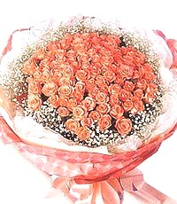 Hoa hồng cam HV-A-039 (ID: HV-A-039) 