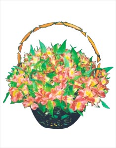 Chúc mừng HV-GOL-0409_43 (ID: HV-GOL-0409_43) 