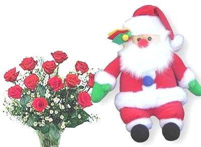 A Santa Claus 40cm, 12 red (or pink, white, yellow) rose bouquet, and a Christmas card (ID: HV-NH-N-5003) 