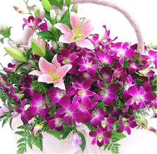 Basket of 12 orchid stems, 2 stargazer lily stems, green (ID: HV-M-4023) 
