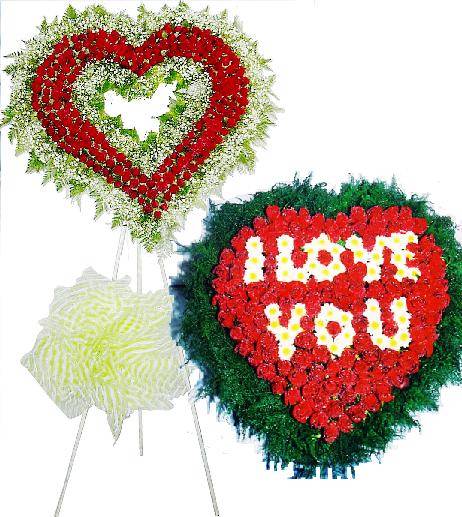 HV-NH-L-376 Love flowers to Vietnam (ID: HV-NH-L-376) 