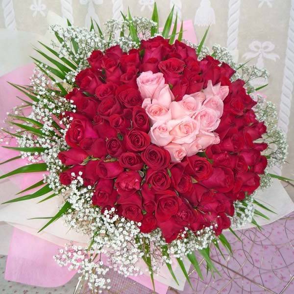 HV-NH-L-314 99 red and pink roses (ID: HV-NH-L-314) 