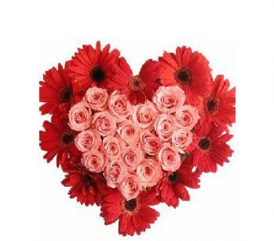 HV-NH-L-349  10 red gerberas and 20 pink roses in heart shape (ID: HV-NH-L-349) 