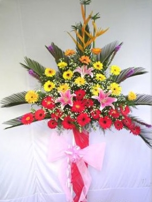 HV-NH-SP-472 - Yellow, red, orange gerberas, pink lilies, baby breaths, greens (height 1.6m) (ID: HV-NH-SP-472) 