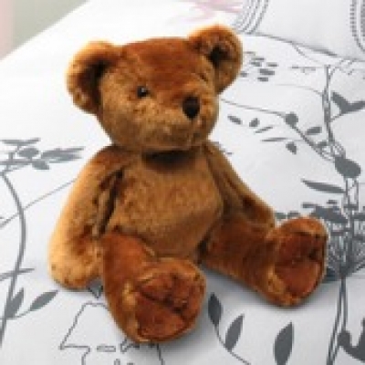 Deep Brown Teddy Bear 3 (ID: TH-TB-BROWN-3) 