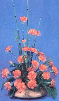 Hoa cẩm chướng HV-O-471 (ID: HV-O-471) 