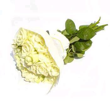 24 hoa hồng trắng HV-O-460 (ID: HV-O-460) 