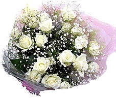 24 Hoa hồng trắng HV-A-046 (ID: HV-A-046) 