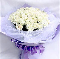 50 Hoa hồng trắng HV-A-032 (ID: HV-A-032) 