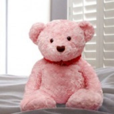 Pink Teddy Bear 1 (ID: TH-PINK-TED-BEAR-1) 
